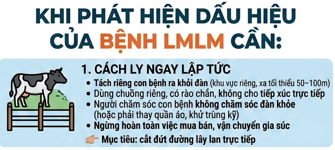 Thực hiện các biện pháp phòng, chống bệnh Lở mồm long móng trên đàn gia súc trên địa bàn xã Vị Xuyên
