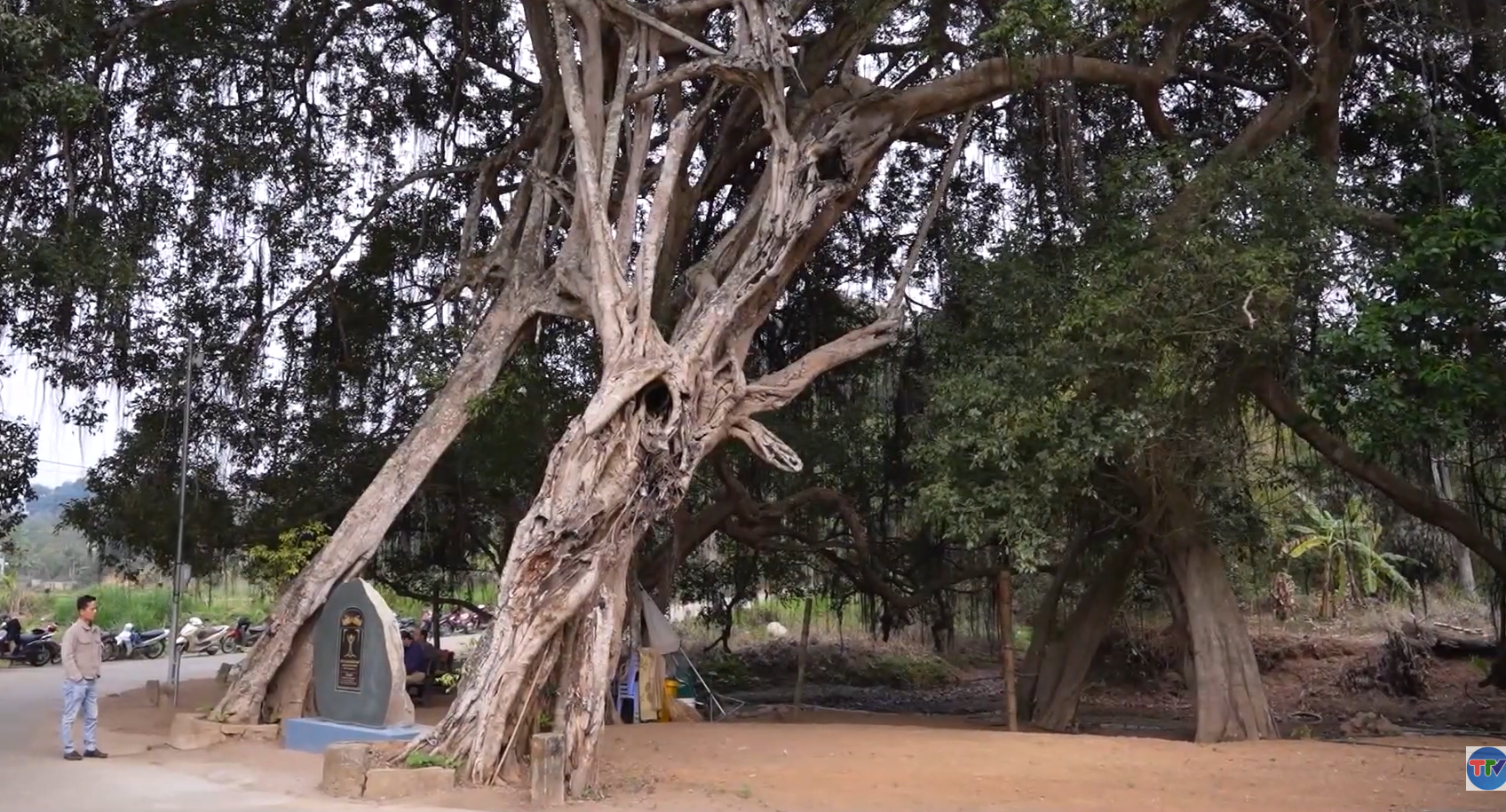 644fff024bf3e4049aaf70e2faa331a5