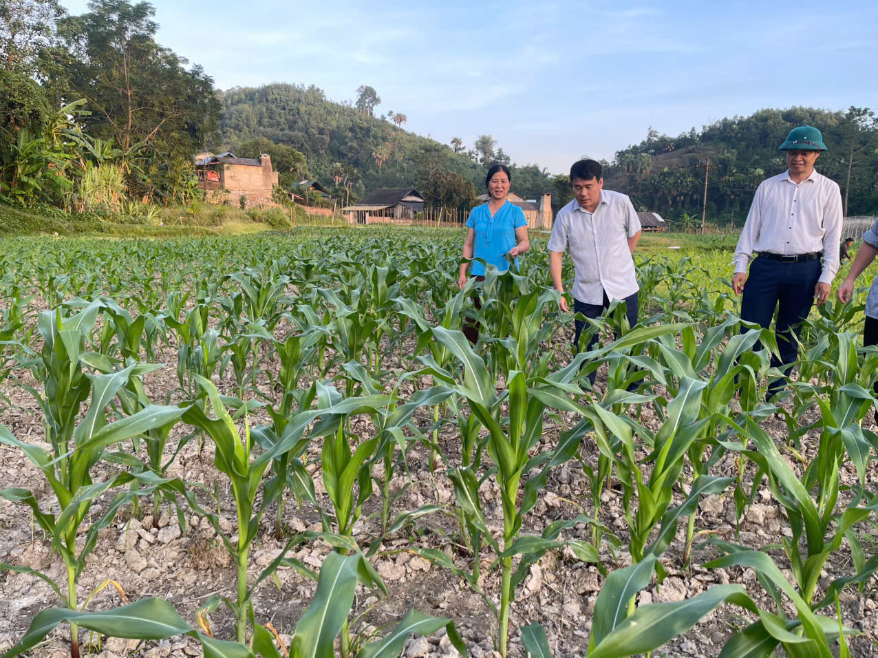 LÃNH ĐẠO XÃ YÊN LẬP KIỂM TRA, ĐỘNG VIÊN NHÂN DÂN THỰC HIỆN SẢN XUẤT VỤ ĐÔNG NĂM 2025 