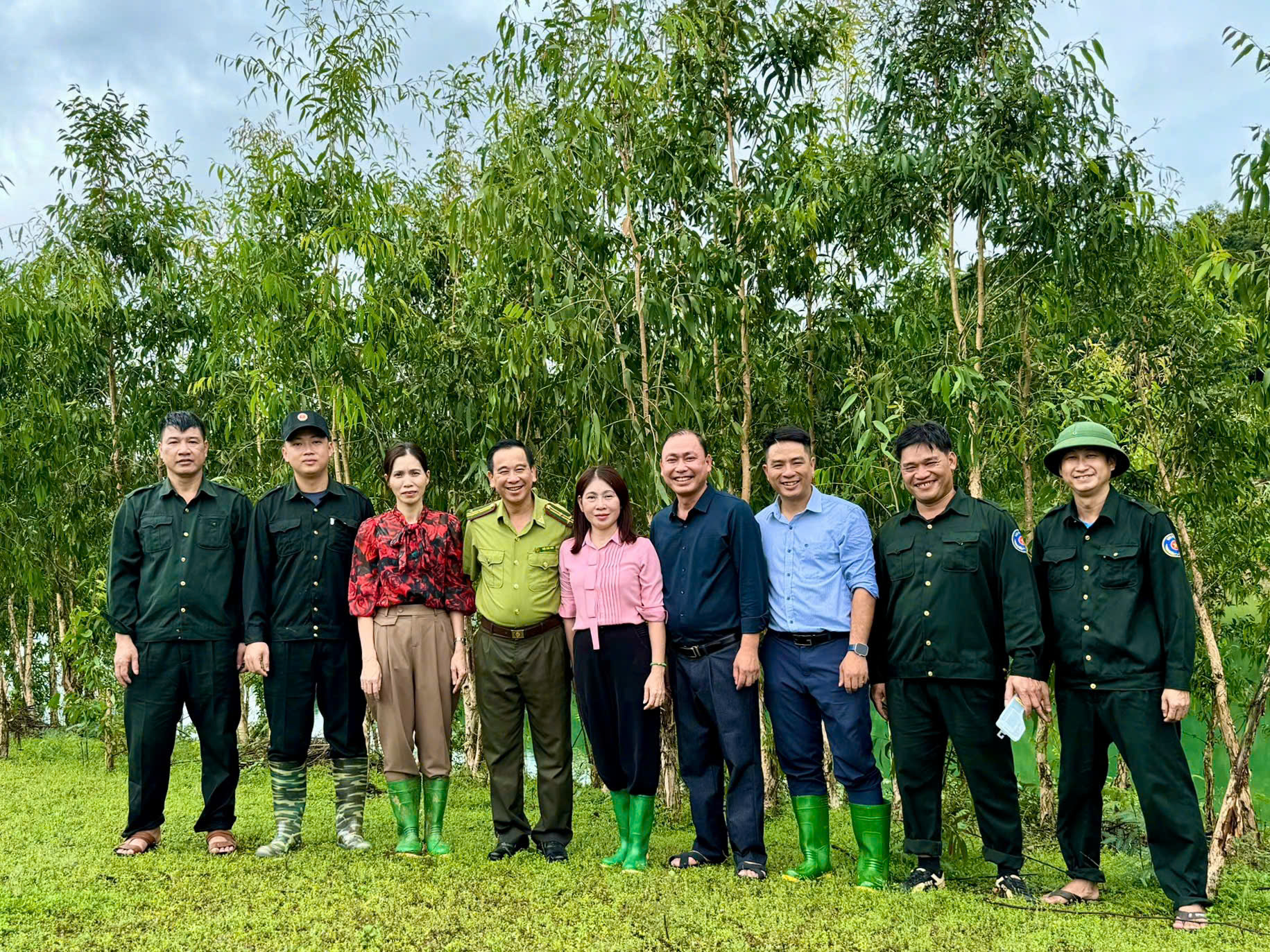 Tràm lá dài - giải pháp xanh cho vùng bán ngập lòng hồ thủy điện Tuyên Quang