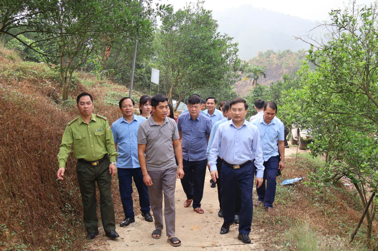 Đoàn công tác Sở nông nghiệp và Môi trường làm việc tại xã Vĩnh Tuy về phát triển nông lâm nghiệp