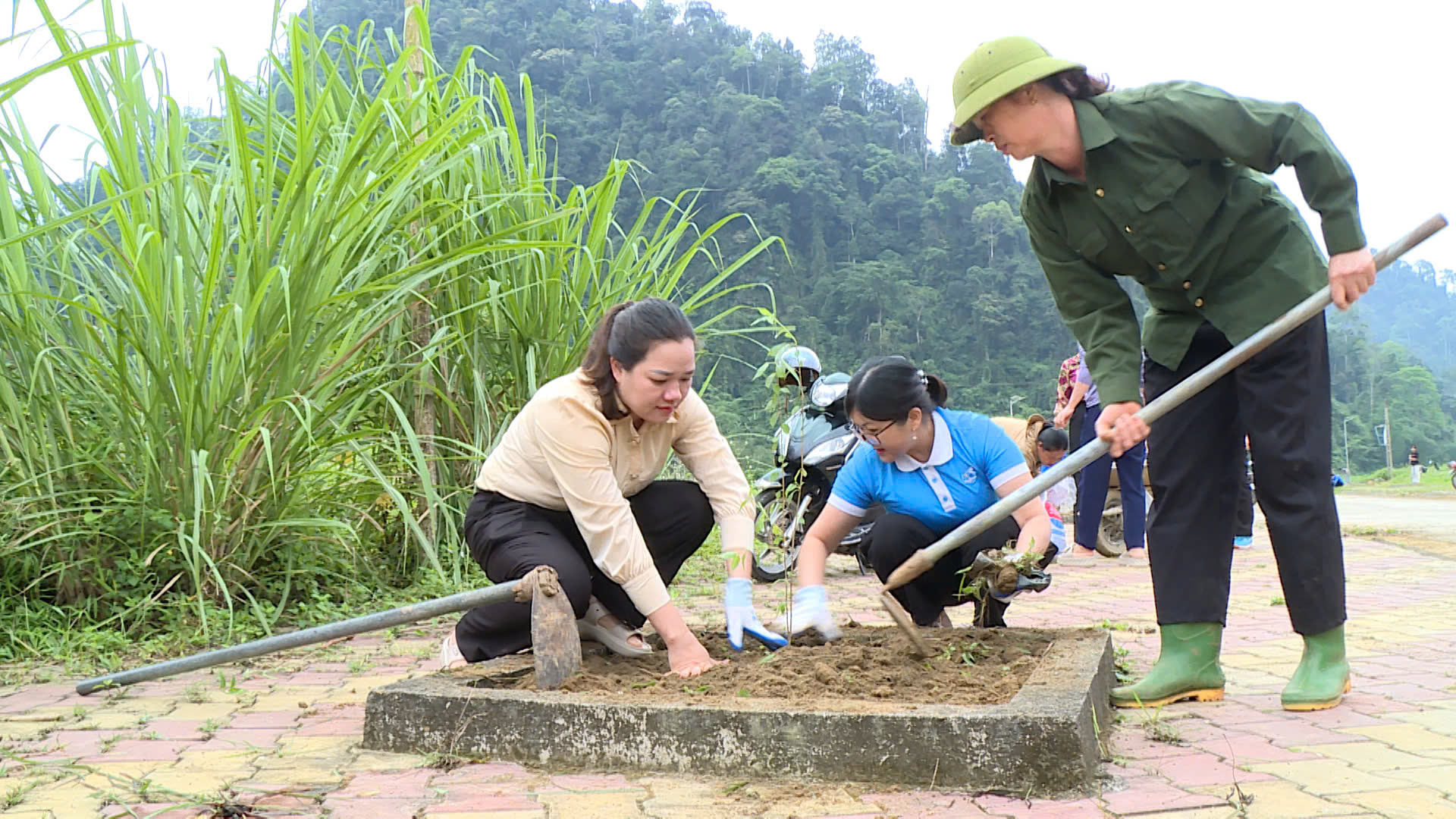 Lễ phát động công trình tuyến đường hoa chào mừng Đại hội đại biểu Trung ương MTTQ Việt Nam và đại hội các tổ chức chính trị - xã hội tại thôn Bản Bung