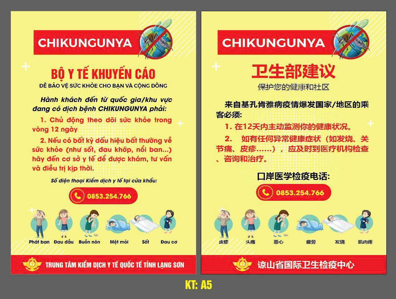 Nguyên nhân, triệu chứng, cách phòng bệnh Chikungunya