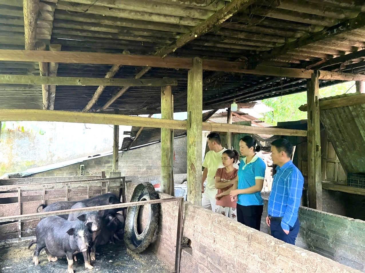 Ủy ban MTTQ xã Hồ Thầu khảo sát thực tế mô hình chăn nuôi lợn thương phẩm kết hợp nấu rượu gạo truyền thống Suối Đôi.