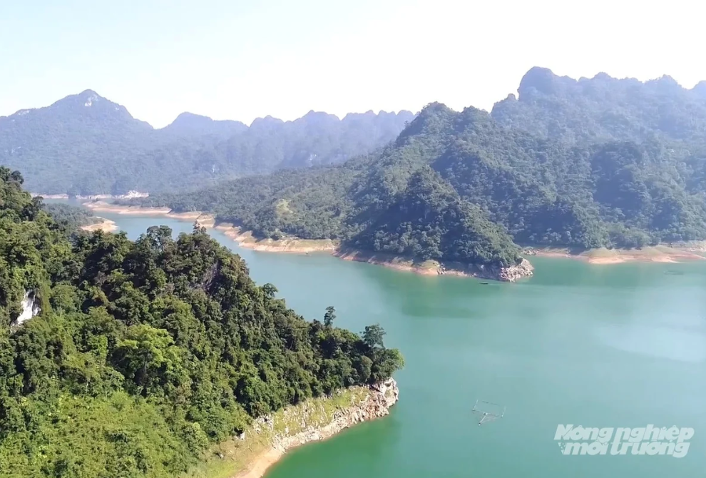 Giữ rừng bền vững từ chính sách chi trả dịch vụ môi trường rừng