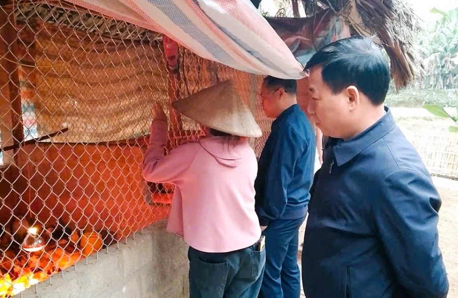 Lãnh đạo xã Đồng Yên kiểm tra mô hình chăn nuôi gà thuộc chương trình giảm nghèo