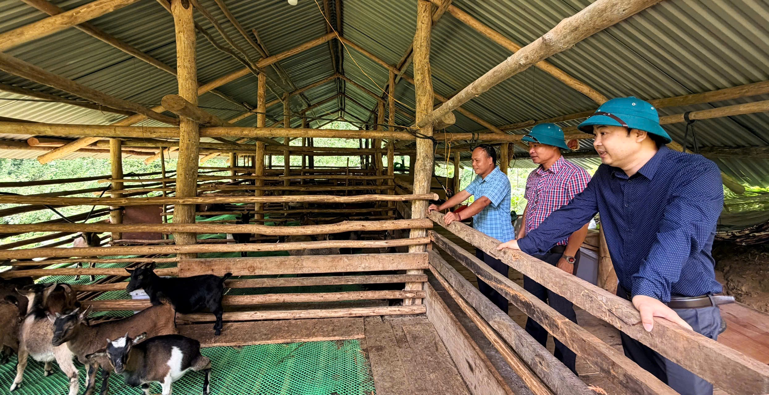 LÃNH ĐẠO XÃ THANH THỦY KIỂM TRA MÔ HÌNH PHÁT TRIỂN KINH TẾ