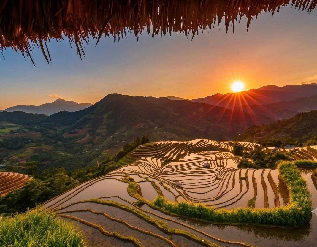 Thong Nguyen's Terraced Fields: Leveraging the Potential of Community Tourism