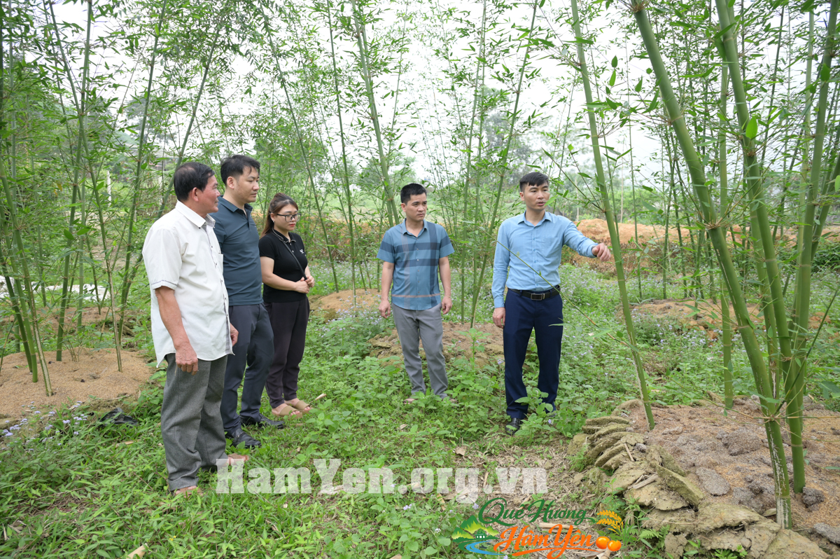 Lãnh đạo UBND xã Hàm Yên kiểm tra, khảo sát các mô hình kinh tế hiệu quả trên địa bàn