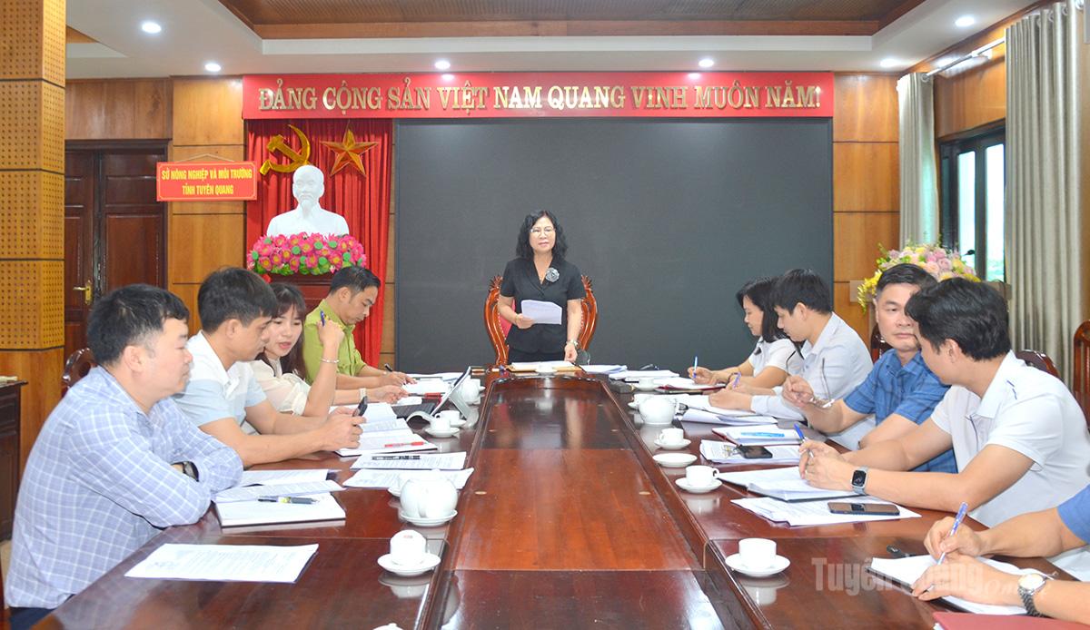 Phấn đấu chi trả nhanh, đúng quy định tiền dịch vụ môi trường rừng