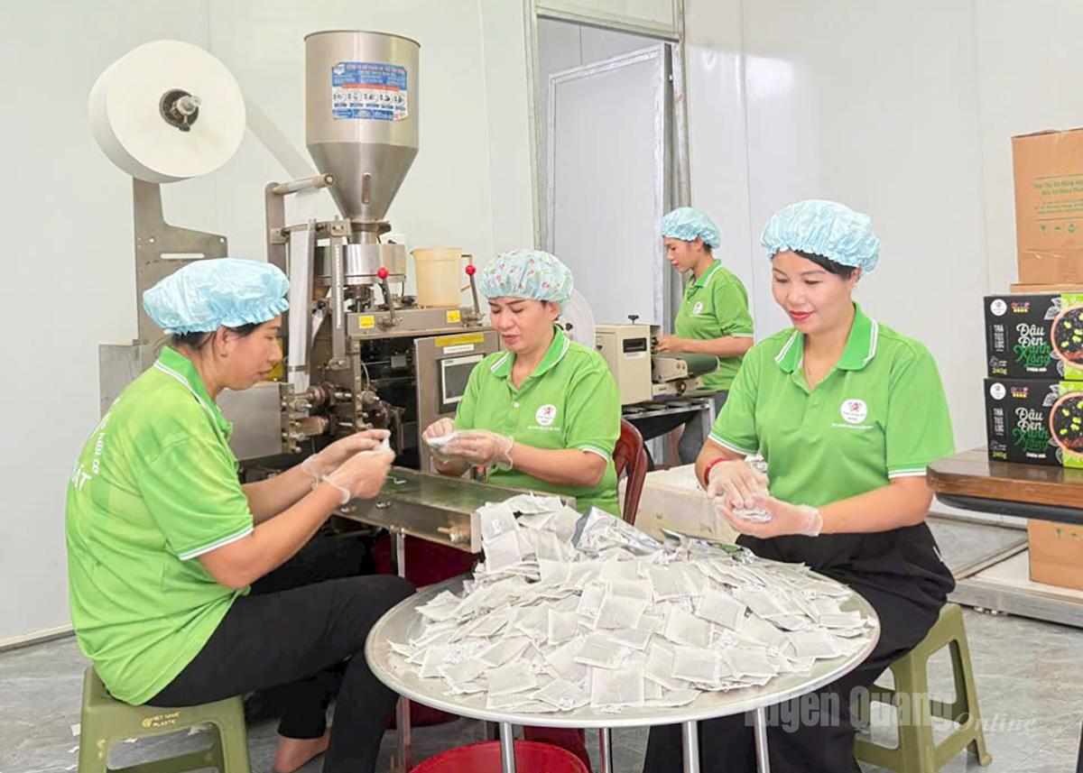 Tuyên Quang Focuses on Boosting Quality of Agricultural Exports