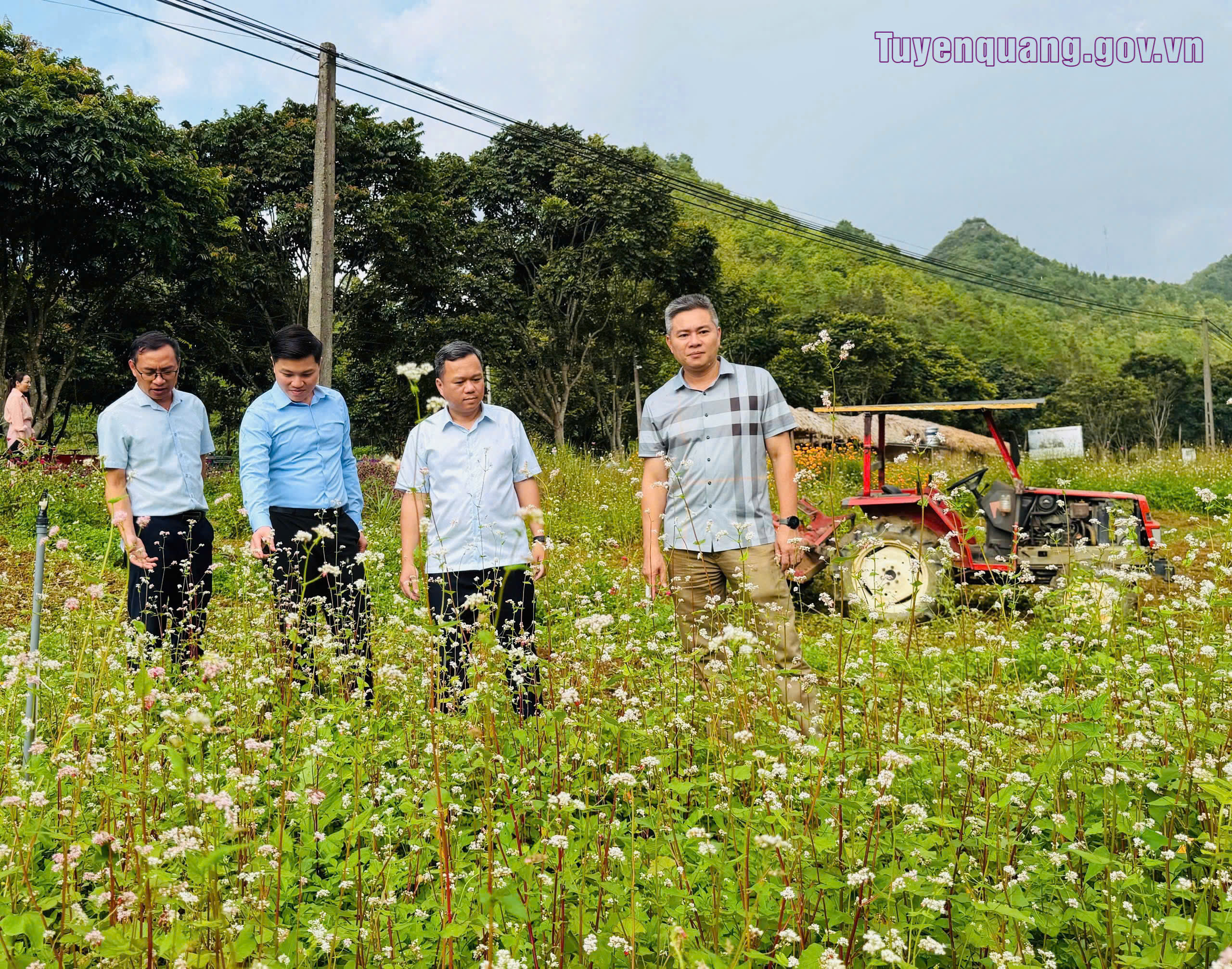 Phó Chủ tịch UBND tỉnh Đỗ Hùng Đức kiểm tra tiến độ chuẩn bị Lễ hội hoa Tam giác mạch tại xã Minh Tân, Quản Bạ và Yên Minh