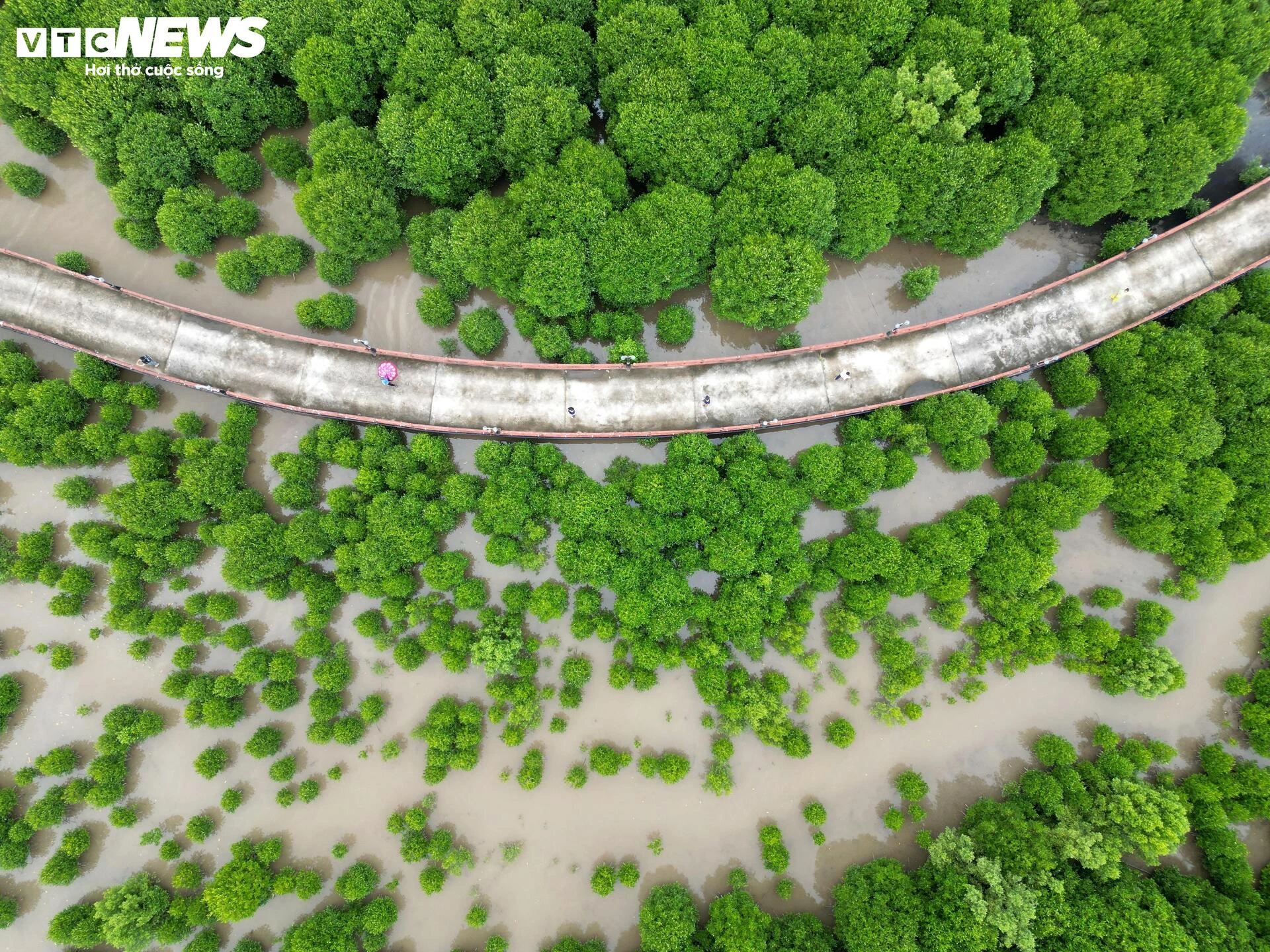 Vẻ đẹp nơi ‘đất biết nở, rừng biết đi’ ở cực Nam Tổ quốc