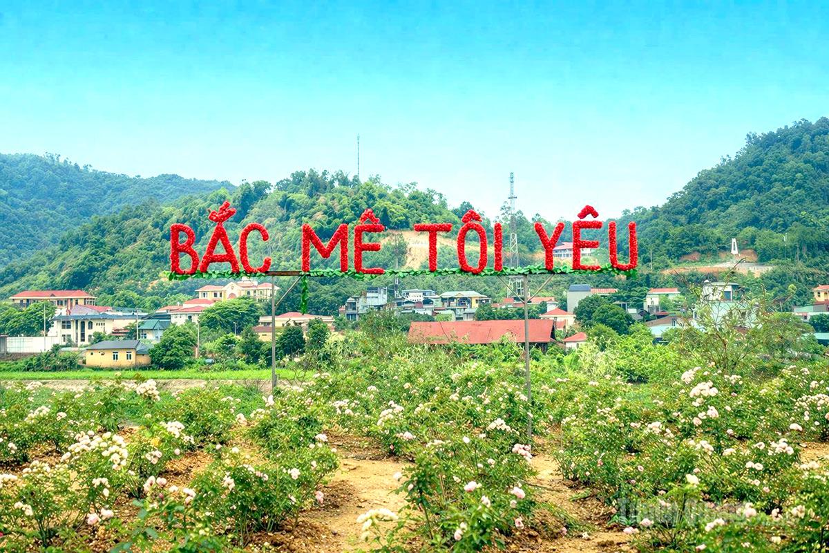 Lung linh sắc hoa bên bờ Nam sông Gâm thơ mộng