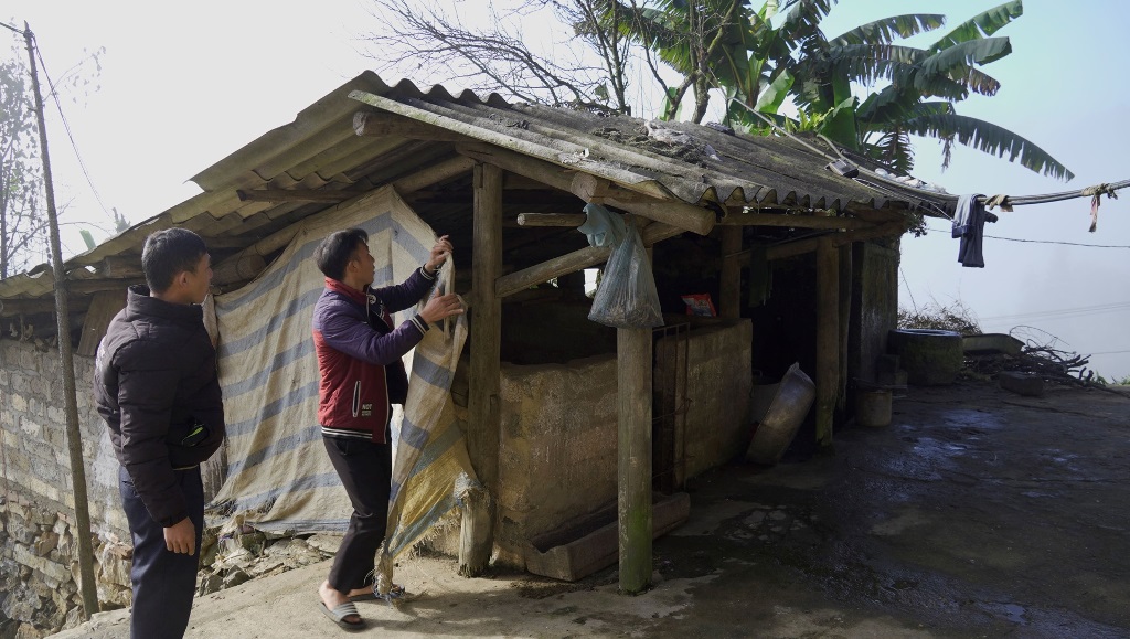 Các xã vùng cao Tuyên Quang chủ động bảo vệ đàn gia súc