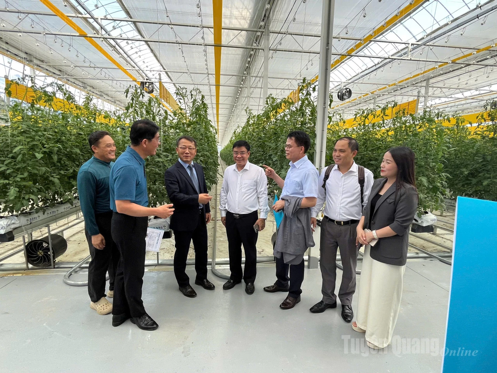 Đoàn đại biểu tỉnh Tuyên Quang gặp gỡ lao động của tỉnh tại Hàn Quốc