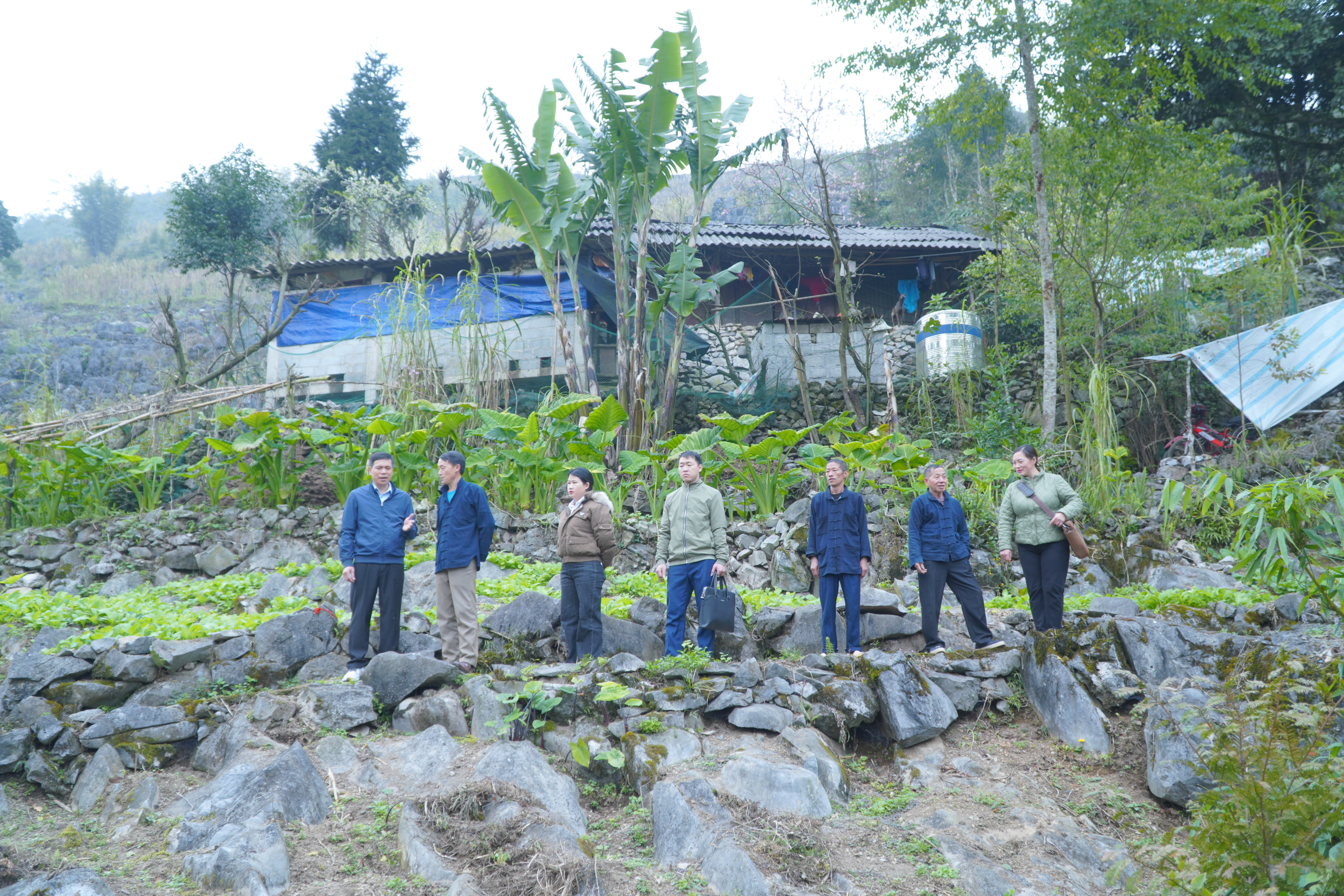 Khẩn trương sản xuất sau Tết: Bí thư Đảng ủy xã trực tiếp kiểm tra tại cơ sở