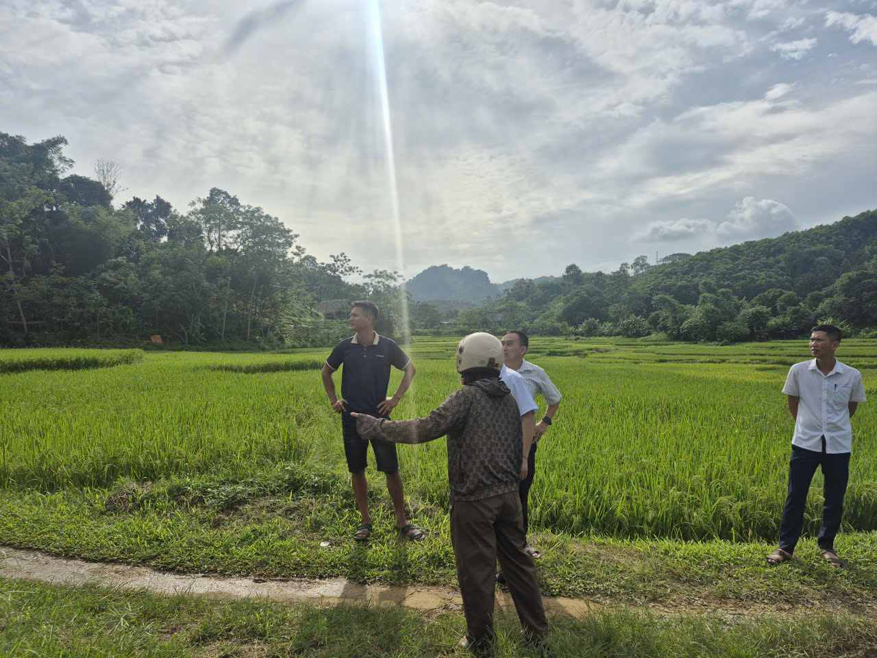 Ktra điện1.jpg