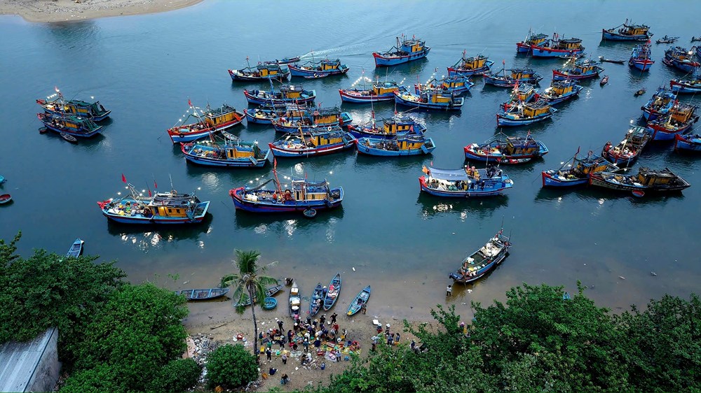 Đến Quảng Ngãi, ghé chợ nổi lúc tinh mơ