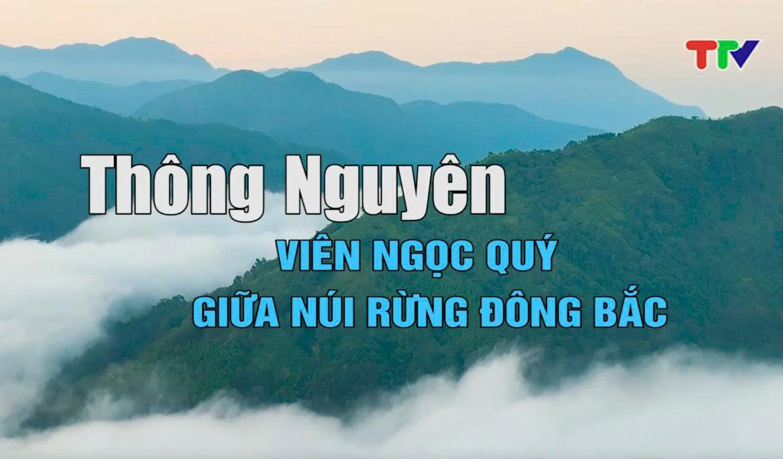 f2959c093a657988e5f35eb4d33ea5a0