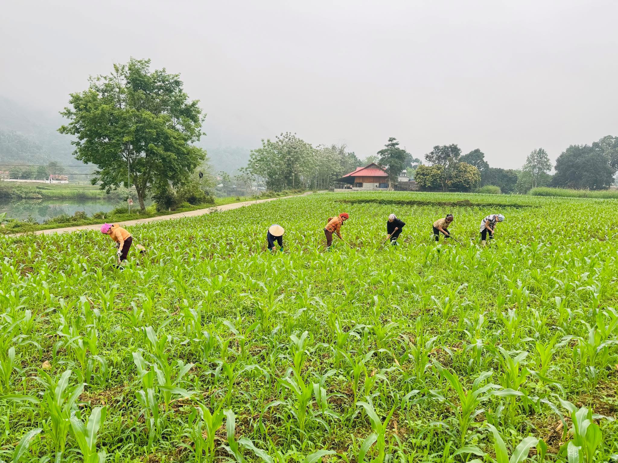 Thuận Hòa chuyển mình từ nghị quyết