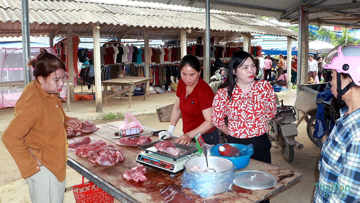 Xã Thái Sơn tăng cường công tác kiểm tra, giám sát trước diễn biến của dịch tả lợn châu Phi