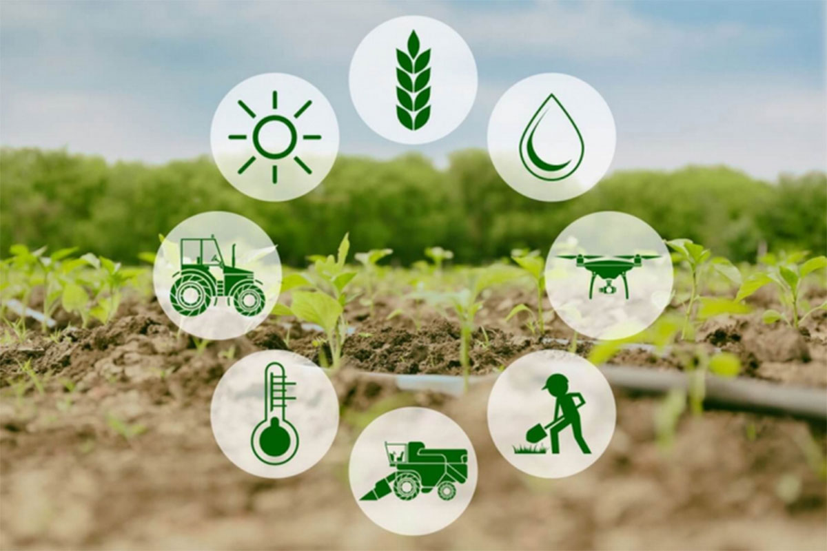 UBND tỉnh chỉ đạo triển khai thống nhất các thủ tục về môi trường
