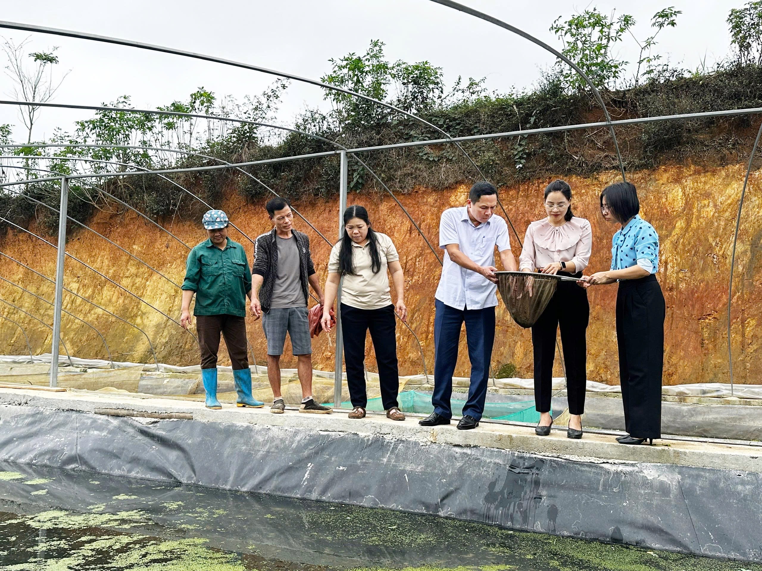 Các đồng chí lãnh đạo xã thăm một số mô hình kinh tế tiêu biểu trên địa bàn xã