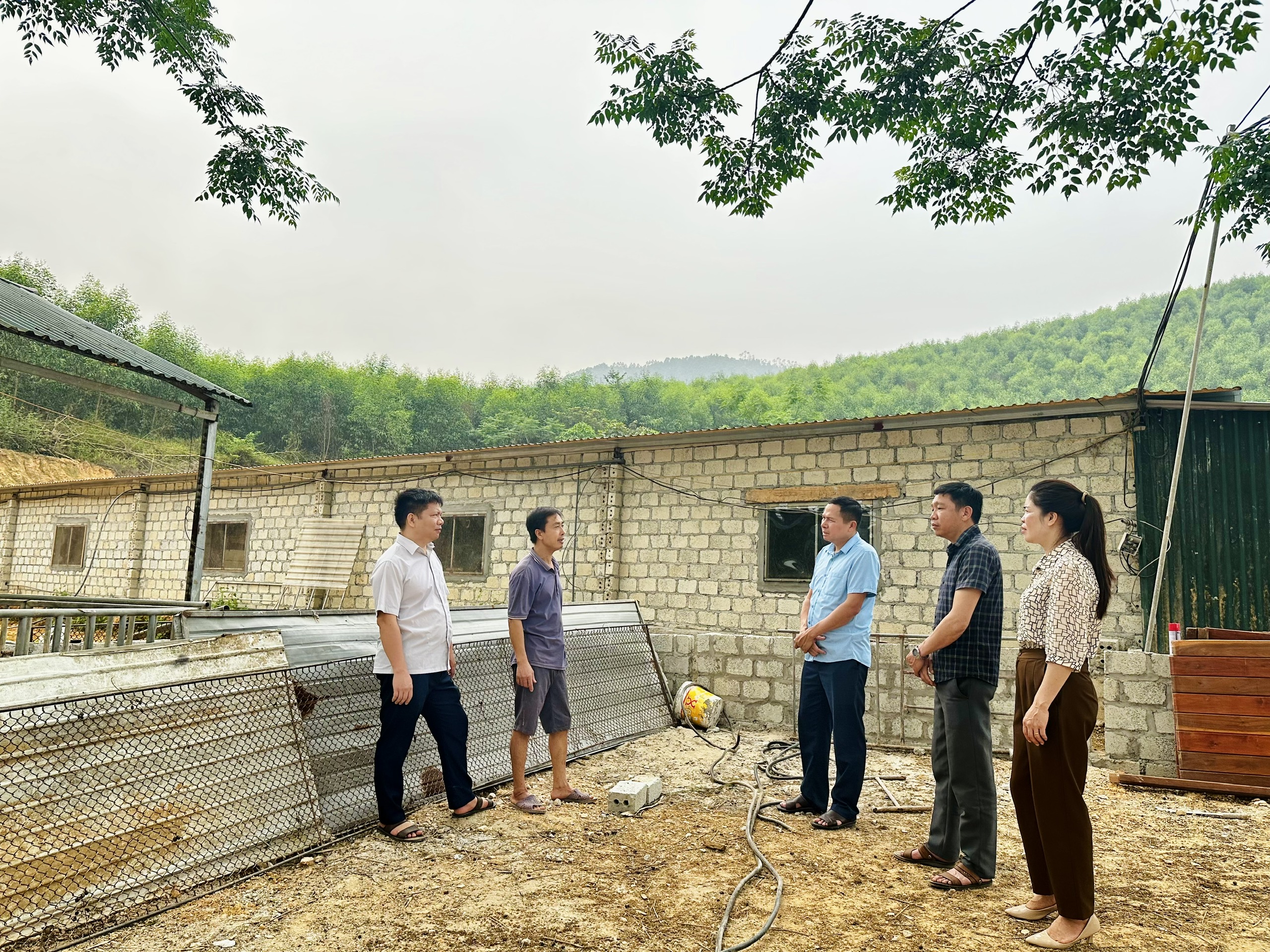 Khảo sát thực tế tại các mô hình chăn nuôi trên địa bàn