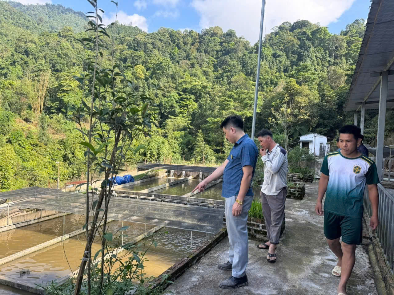 Dân vận khéo khơi nguồn sinh kế từ Đèo Gió