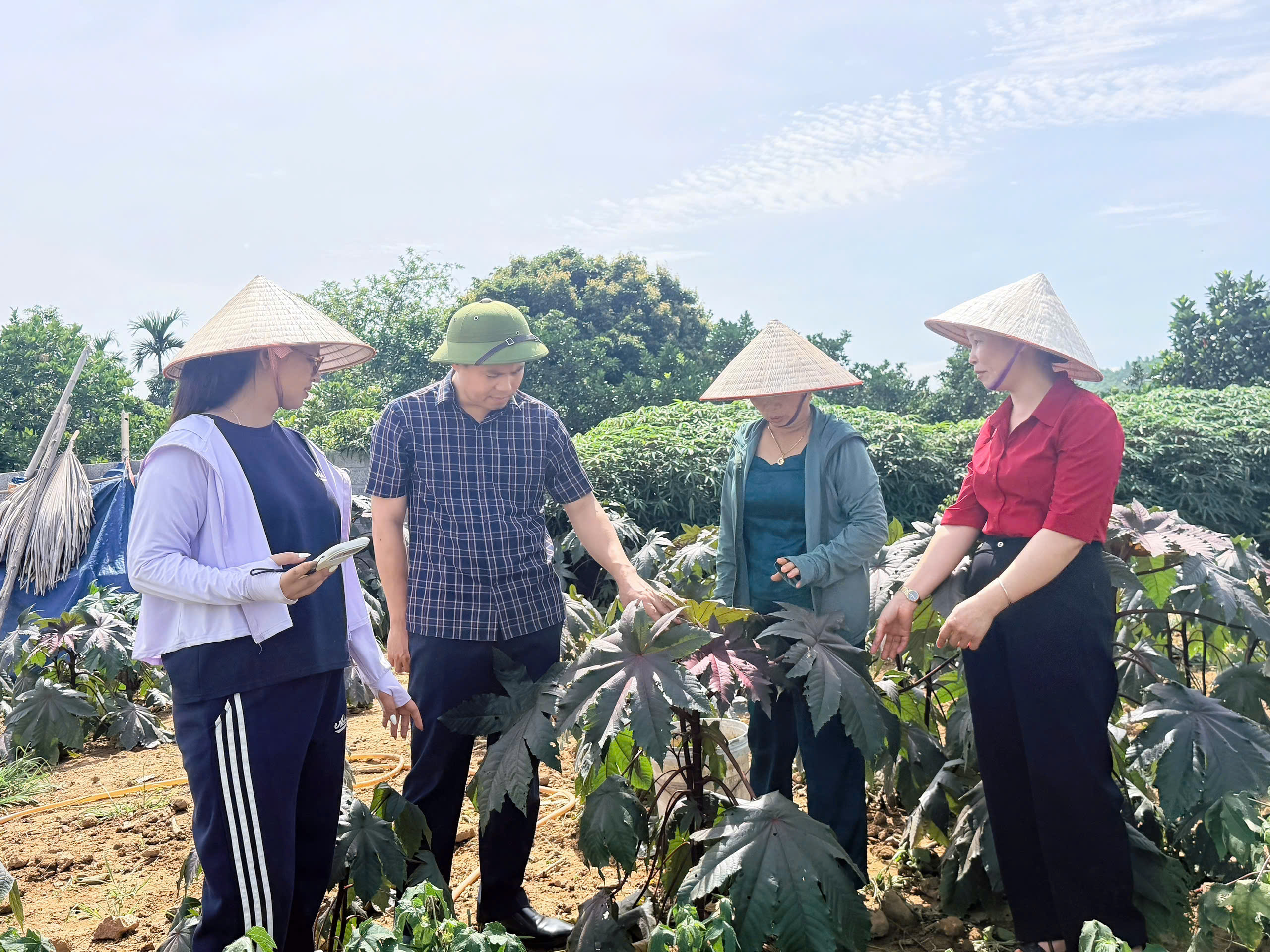 Đồng chí Bí thư Đảng ủy xã Nhữ Khê thăm mô hình phát triển cây thảo dược tại thôn Đoàn Kết