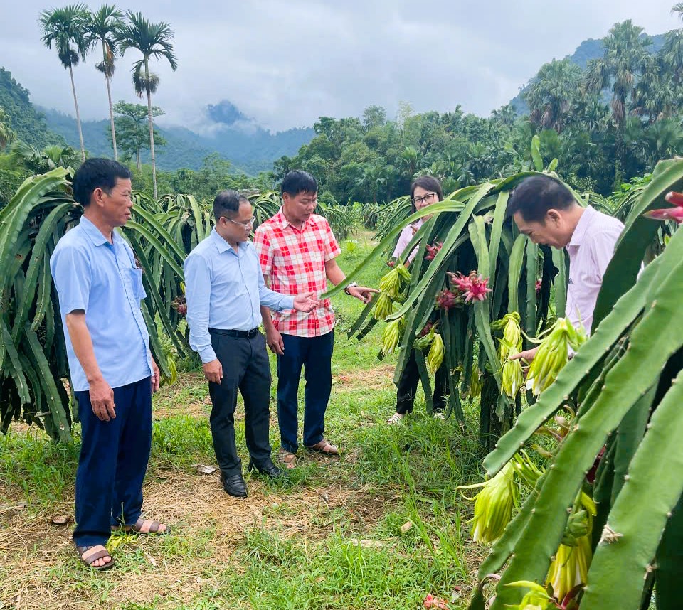 Đồng chí Nguyễn Thành Chung – Chủ tịch UBND xã Đồng Yên kiểm tra việc sử dụng nguồn vốn tín dụng chính sách tại thôn Đồng Hương