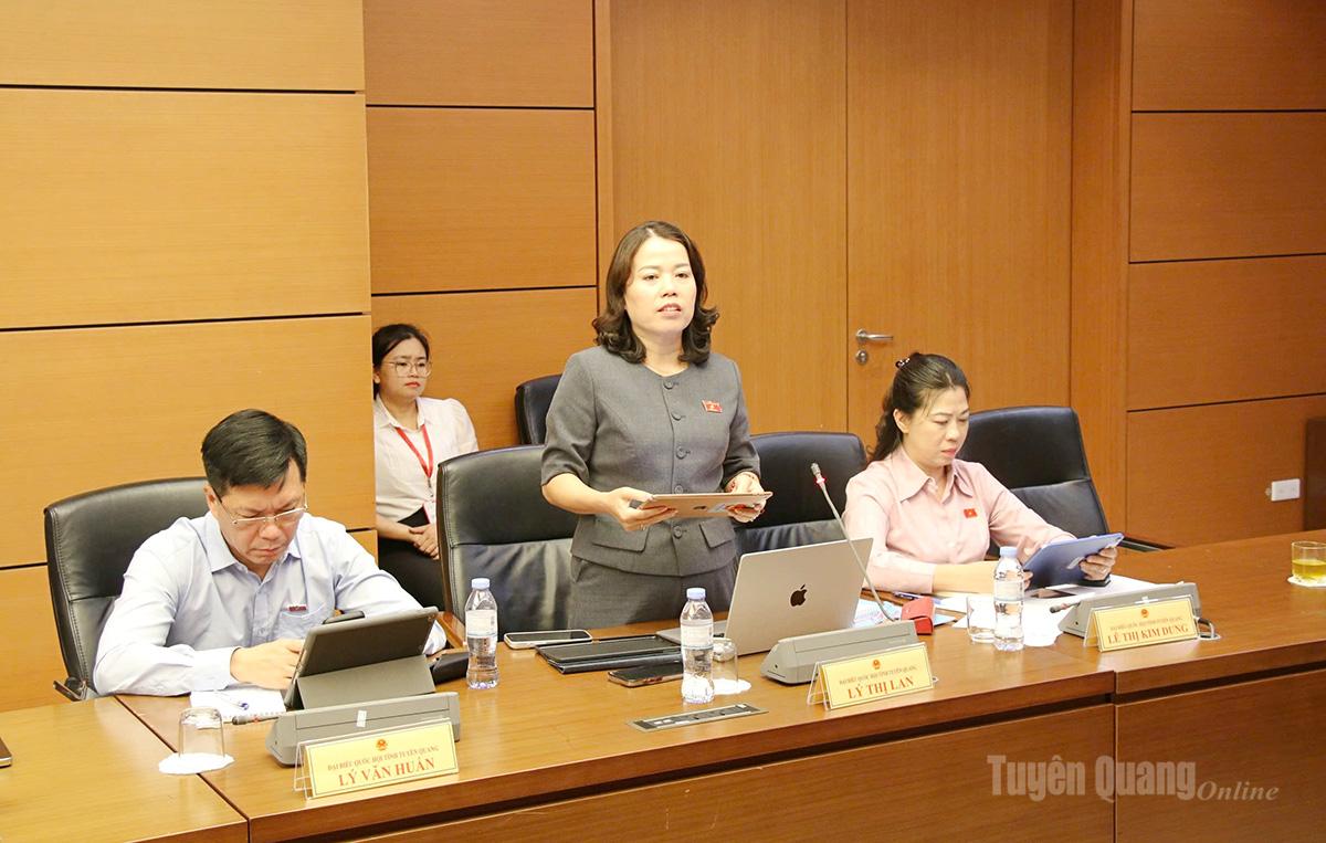 Đại biểu Quốc hội tỉnh Tuyên Quang tham gia thảo luận tại tổ