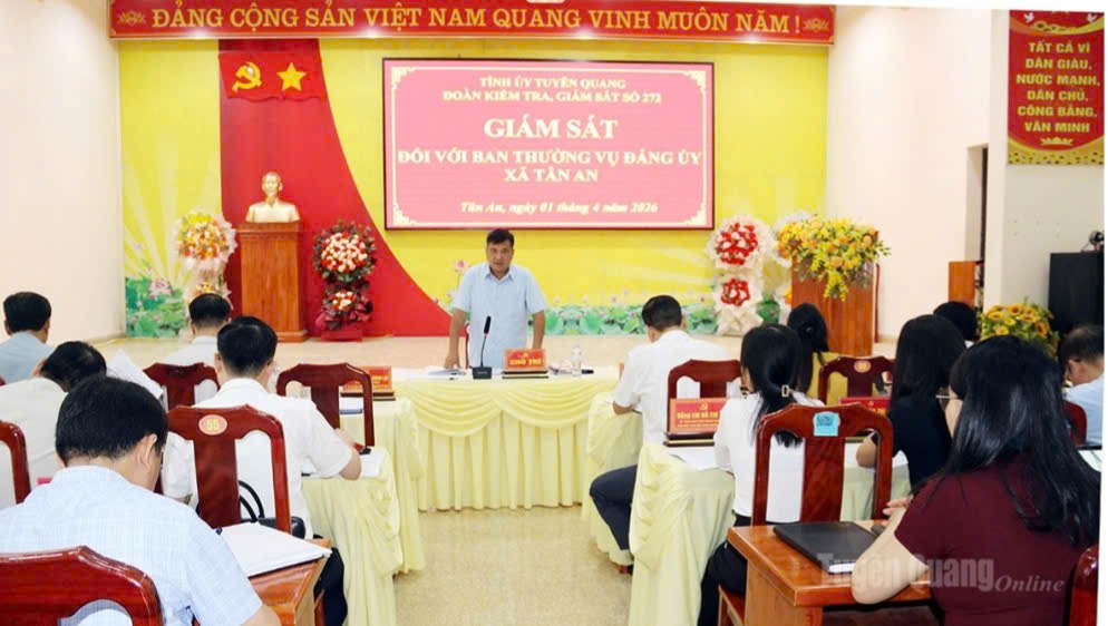 Đoàn kiểm tra, giám sát của Ban Thường vụ Tỉnh ủy làm việc với xã Tân An