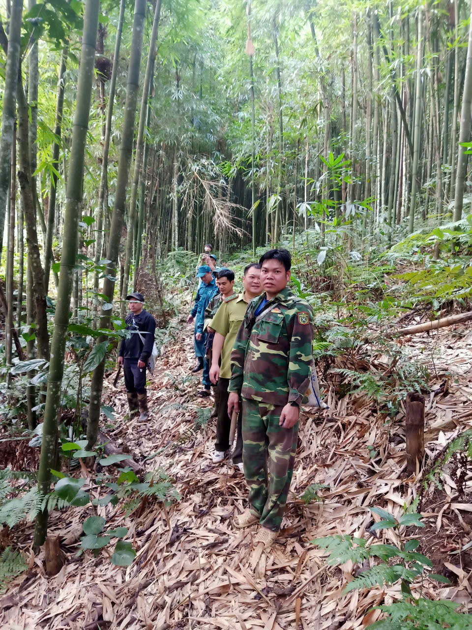 PHƯỜNG HÀ GIANG 1: TĂNG CƯỜNG CÔNG TÁC TUẦN TRA, KIỂM TRA BẢO VỆ RỪNG NĂM 2026.