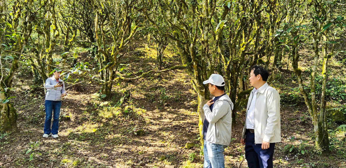 Khảo sát phát triển du lịch tại xã Hồ Thầu