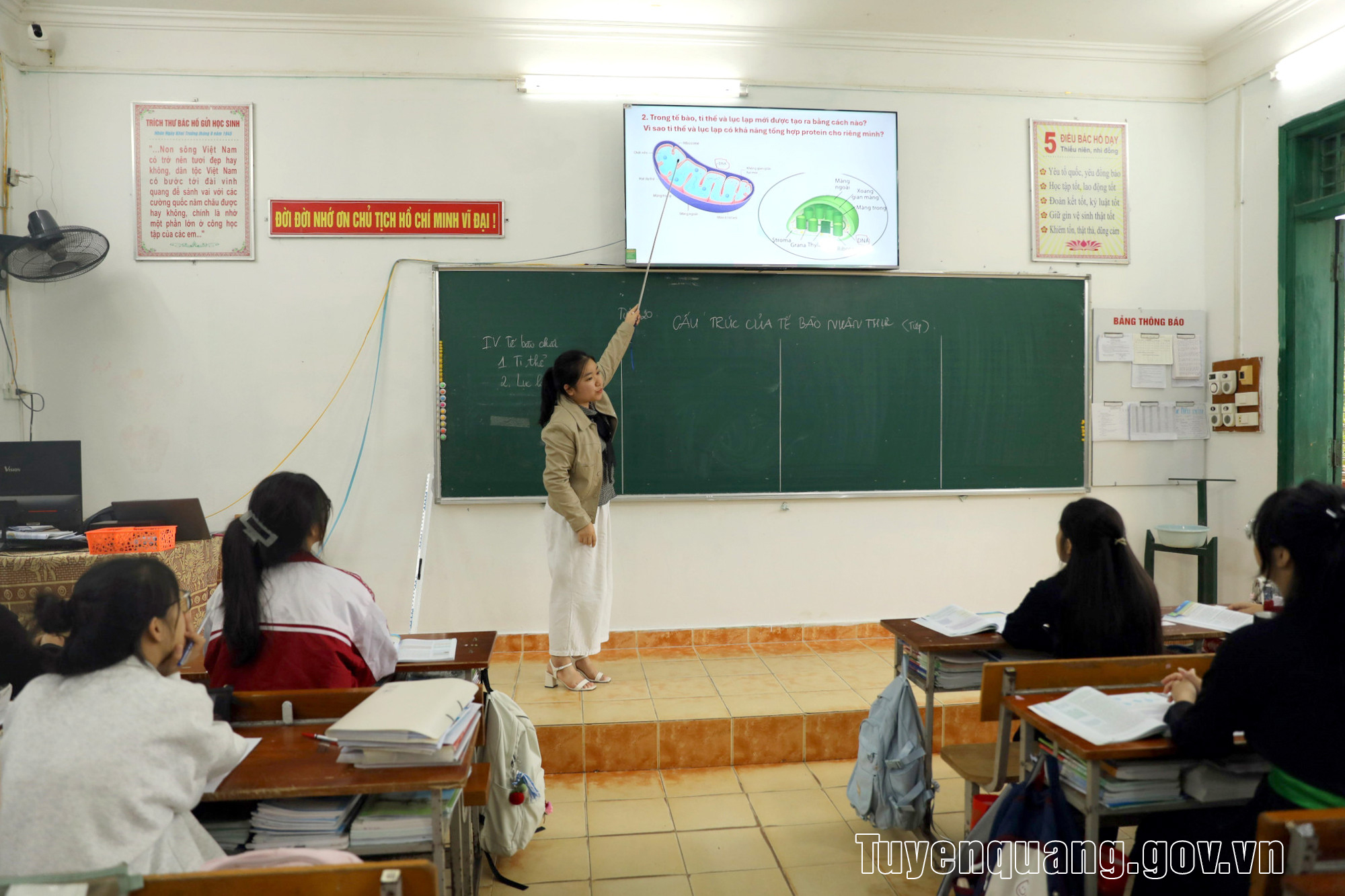 Lá cờ đầu trong giáo dục, đào tạo của tỉnh miền núi Tuyên Quang