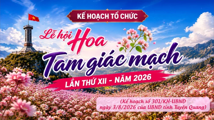 Kế hoạch tổ chức Lễ hội Hoa Tam giác mạch lần thứ XII năm 2026