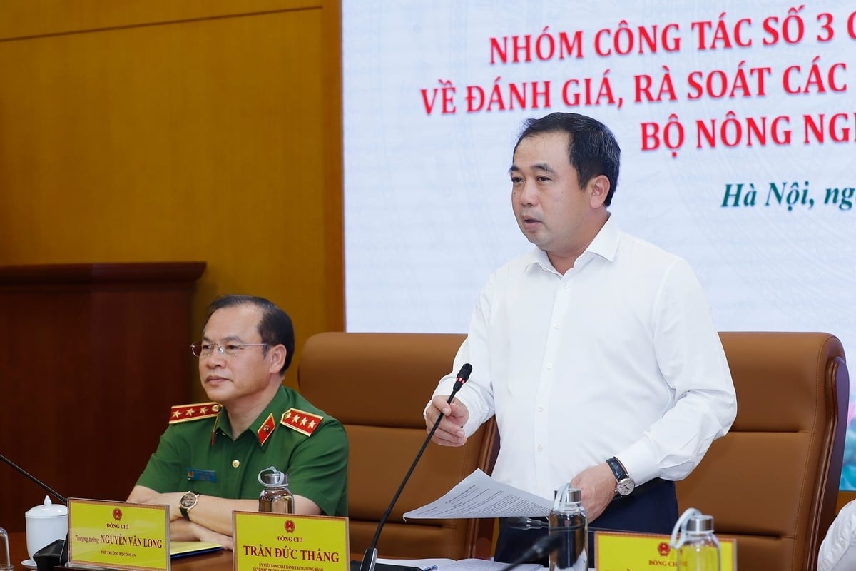 Quyền Bộ trưởng Trần Đức Thắng: Không có dữ liệu, không thể quản lý ngành