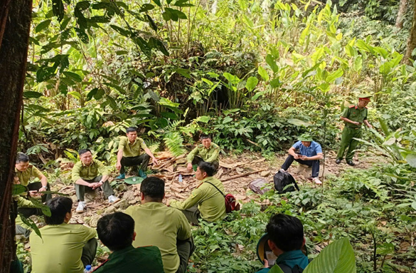 Phối hợp kiểm tra công tác bảo vệ rừng và PCCCR mùa khô hanh 