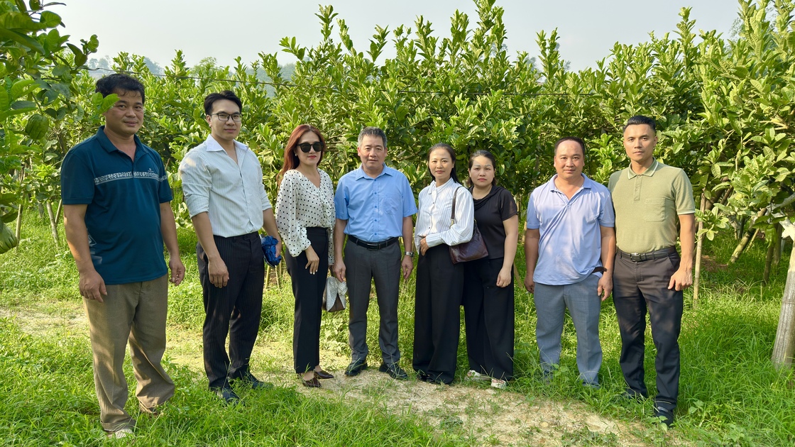 TĂNG CƯỜNG KẾT NỐI DOANH NGHIỆP VỚI MÔ HÌNH PHẬT THỦ XÃ YÊN PHÚ