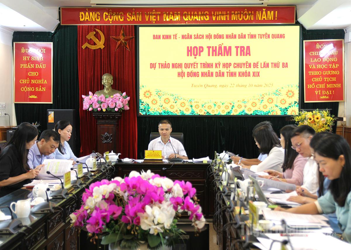 Ban Kinh tế - Ngân sách thẩm tra dự thảo nghị quyết trình Kỳ họp chuyên đề lần thứ ba HĐND tỉnh khoá XIX
