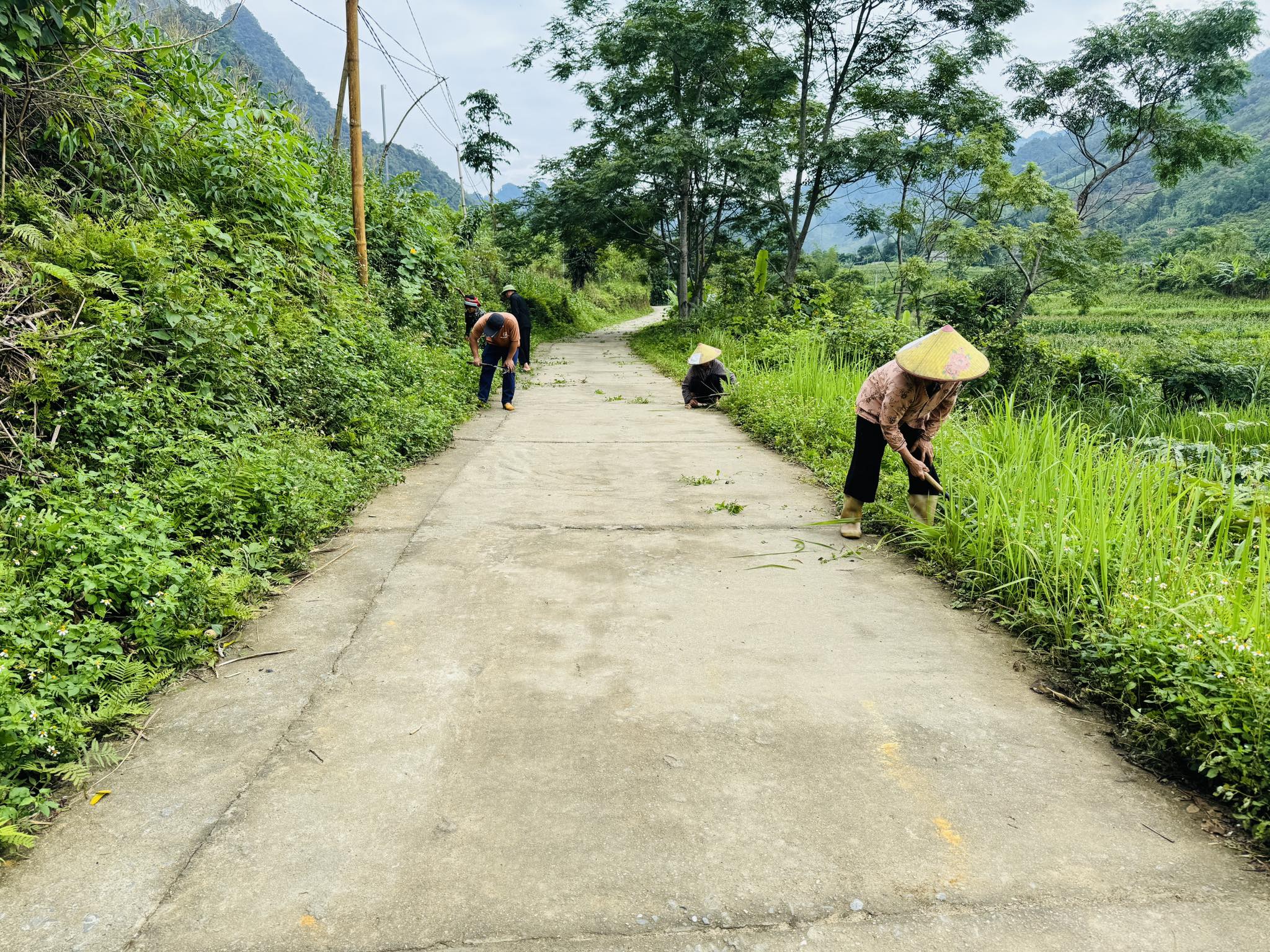 Lễ ra quân tổng vệ sinh môi trường và thắp sáng đường quê.