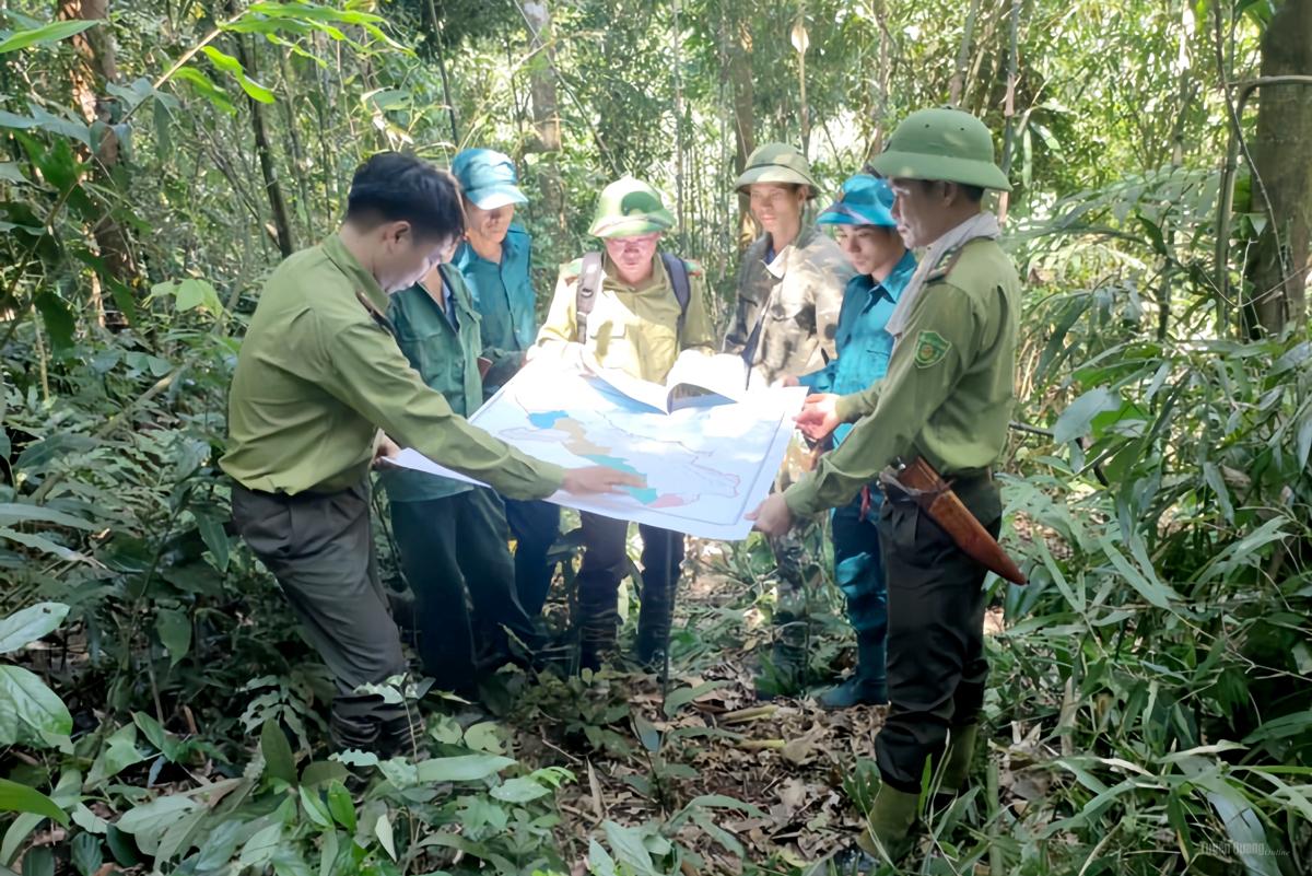 Sắc xanh Tân Thanh