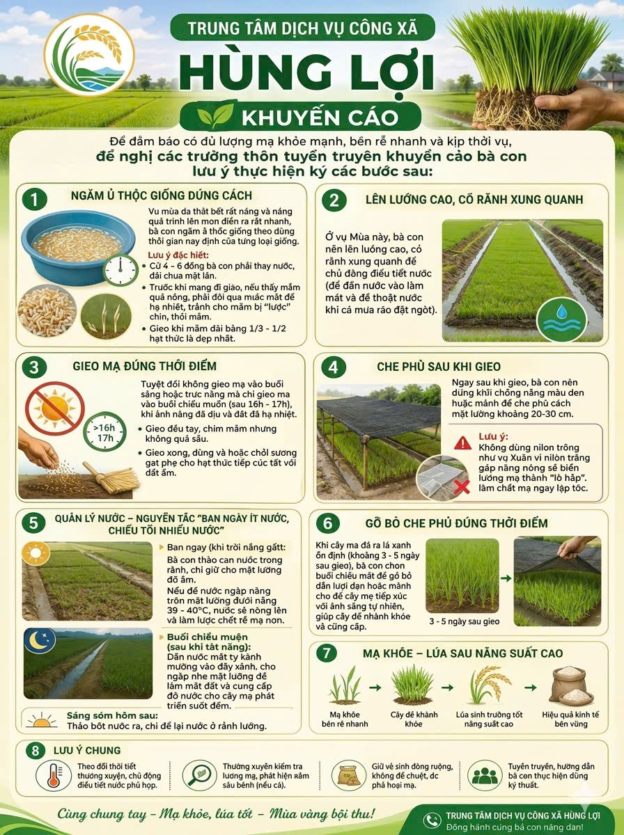 Khuyến Cáo chăm sóc mạ vụ mùa của Trung tâm Dịch vụ công
