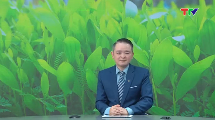 Tích cực trồng rừng vụ xuân năm 2026