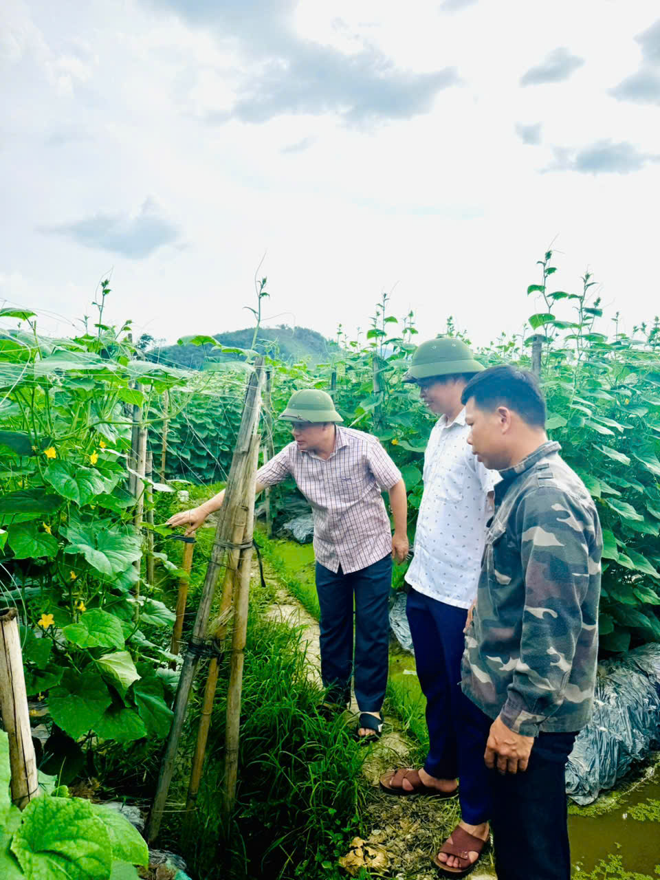 1784687994323_5466465003931076608_5466465003931076608_e05dc67a892607b5ca7b802e3320e359.jpg