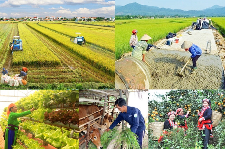 Đẩy mạnh thực hiện chương trình mục tiêu quốc gia