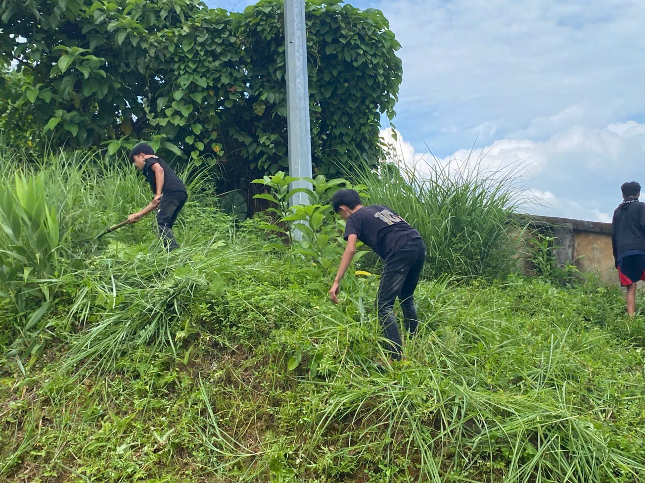 THANH THIẾU NIÊN VI PHẠM VÀ BÀI HỌC TỪ NHỮNG NGÀY LAO ĐỘNG VÌ CỘNG ĐỒNG 