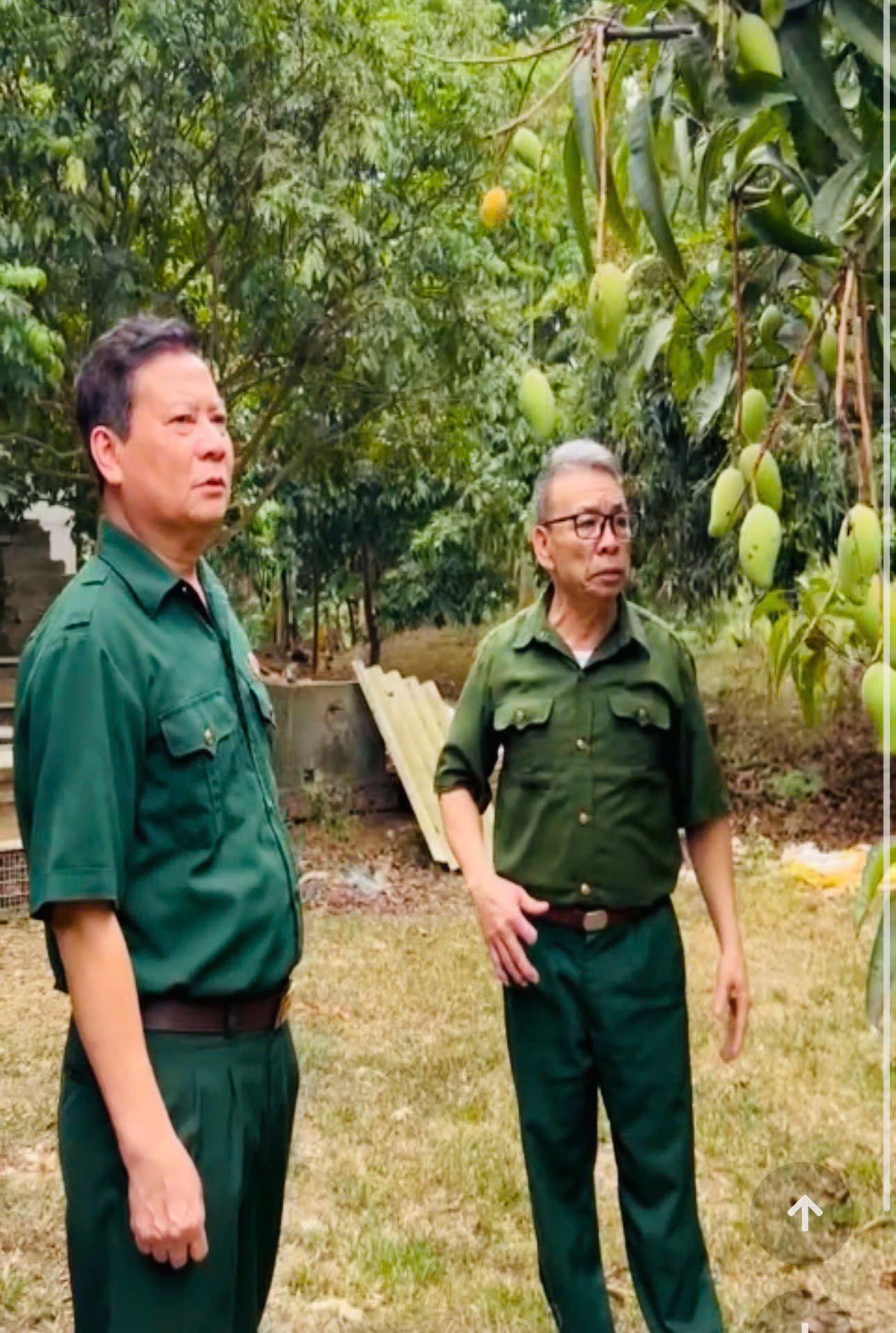 Ý chí thoát nghèo của cựu chiến binh Trần Mạnh Mật, tổ dân phố Đồng Lem, phường An Tường